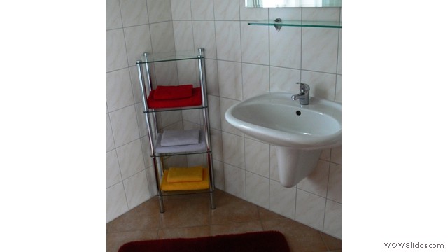 Waschbecken und Glasregal